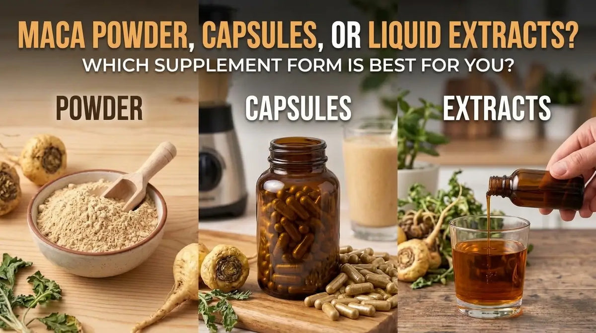 Maca root powder, capsules, and liquid extract compared to help shoppers choose a maca supplement format.