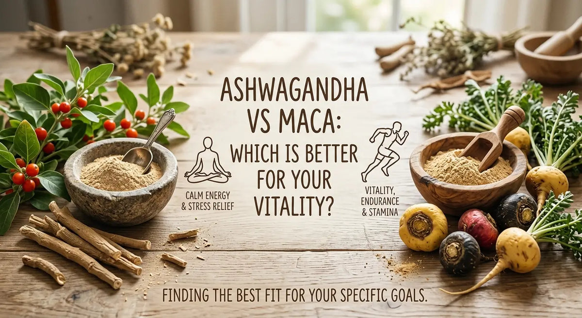  Ashwagandha vs maca for energy stamina and libido