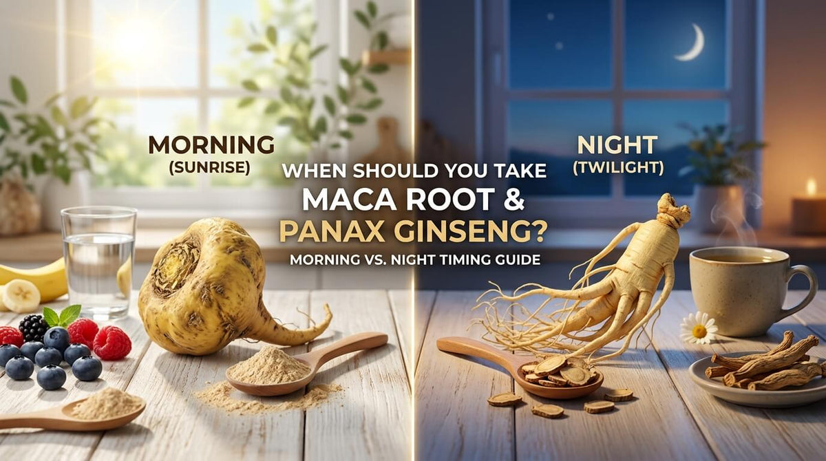 Best time to take maca root and Panax ginseng morning vs night timing guide