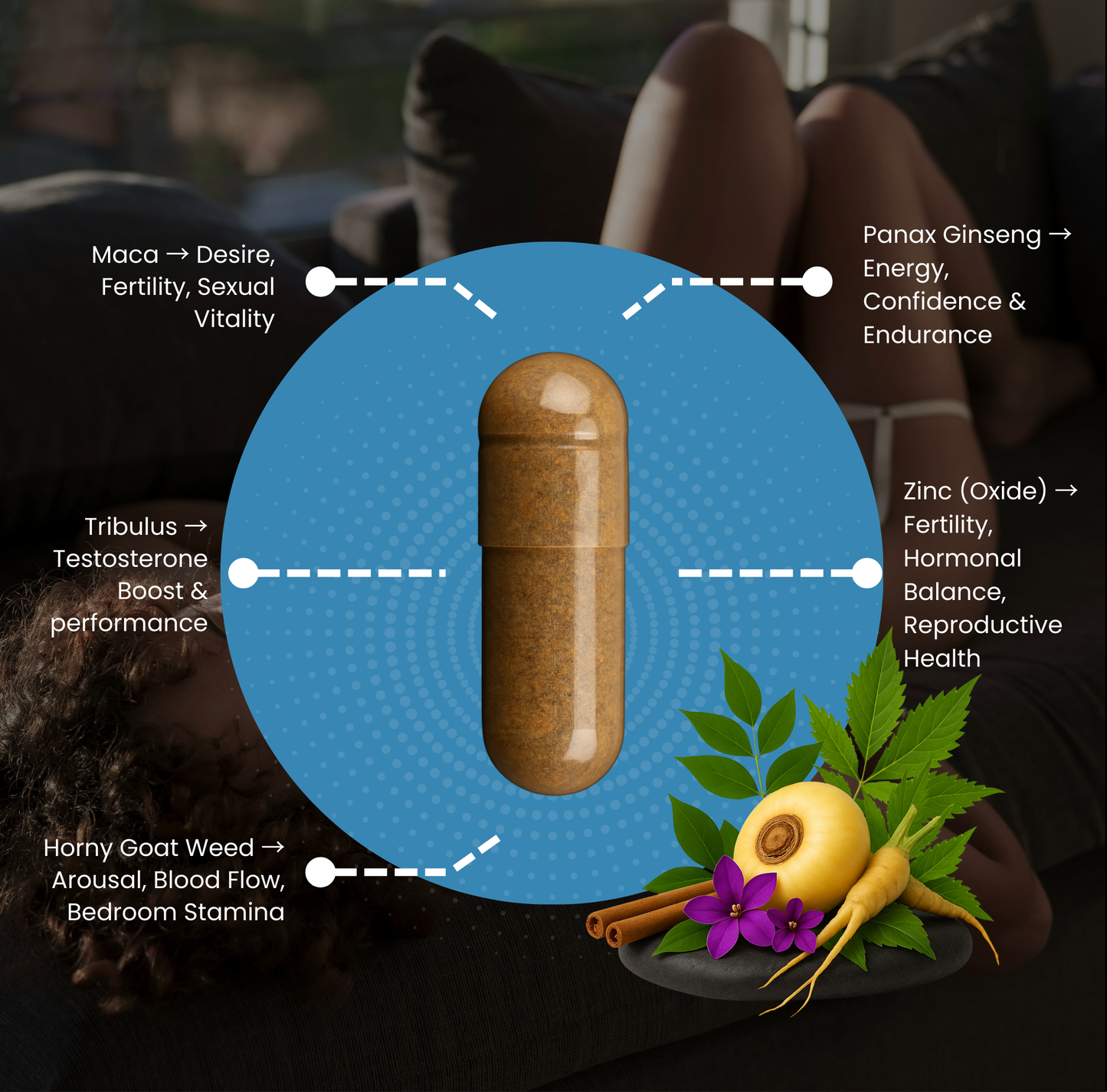 Vitalitas capsule with maca ginseng tribulus and zinc for energy stamina libido and sexual wellness